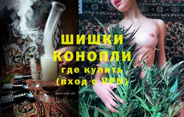твердый Иннополис