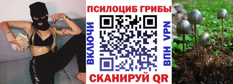 Купить закладки  Черноголовка  Галлюциногенные грибы MAGIC MUSHROOMS 